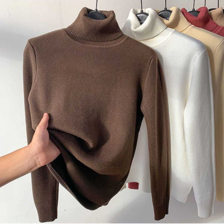 Turtle Neck Women Winter Sweater