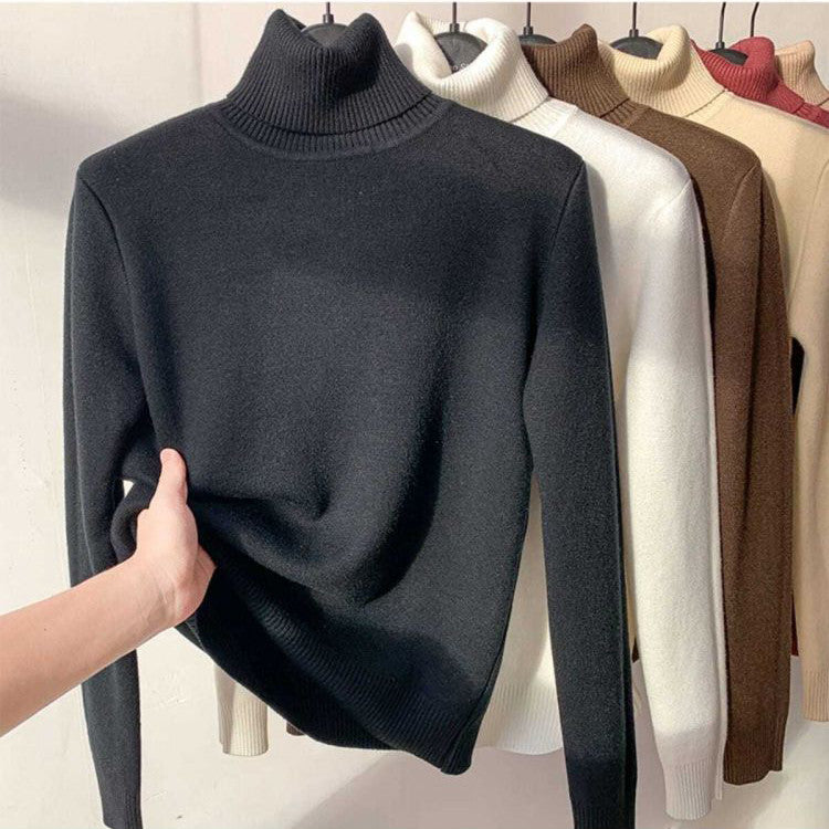 Turtle Neck Women Winter Sweater